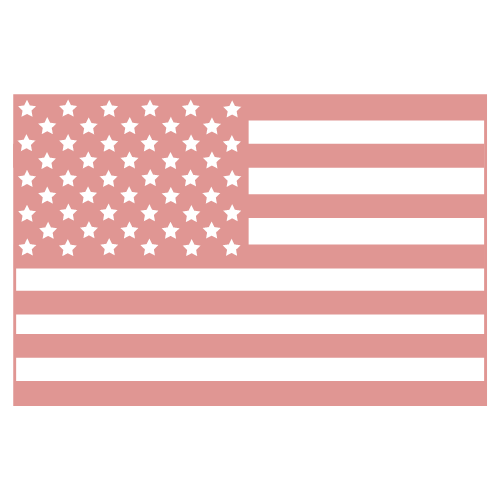 USA Flag Logo